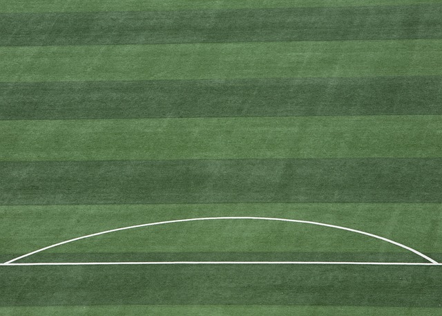 在赢得比赛 在赢得比赛