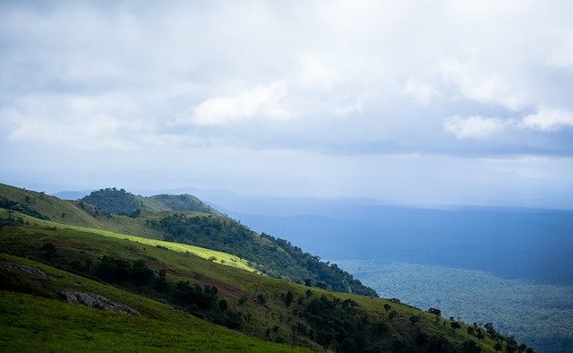 大方优雅 大方优雅