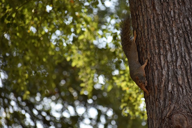 这场超级杯 这场超级杯