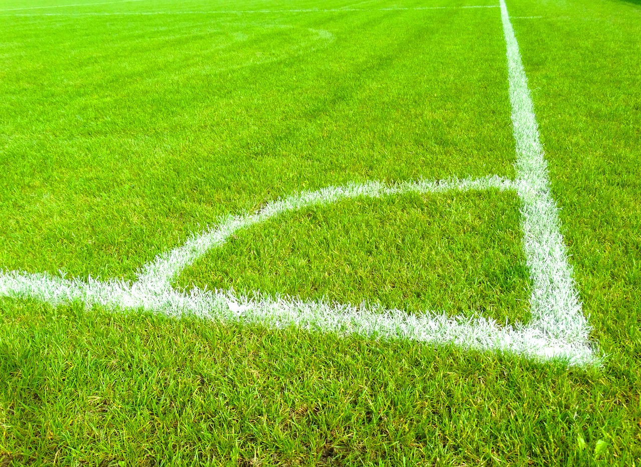了多次进球 了多次进球