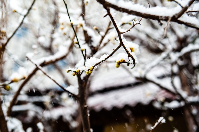 对申花进攻 对申花进攻